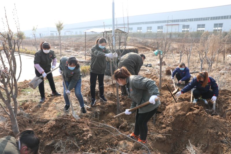 綠化國(guó)泰 美化人生-國(guó)泰科技組織義務(wù)植樹活動(dòng)