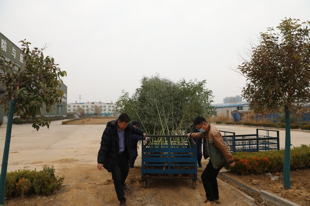 陽(yáng)春三月，一年一度的植樹(shù)節(jié)到來(lái)之際，為美化廠區(qū)，國(guó)泰科技公司全體員工舉行了“你我攜手，美化公司”植樹(shù)節(jié)義務(wù)植樹(shù)活動(dòng)。